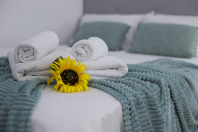 Santa Clara 7 Apto 5 - 4